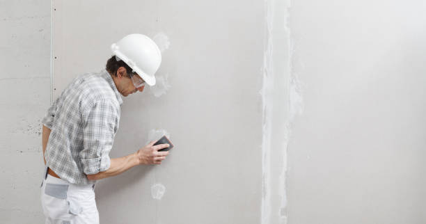 Best Industrial Mold Remediation  in Orange, VA