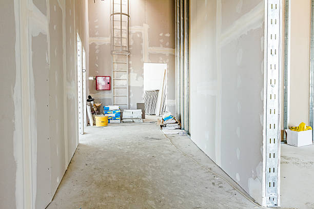 Best Emergency Mold Remediation  in Orange, VA
