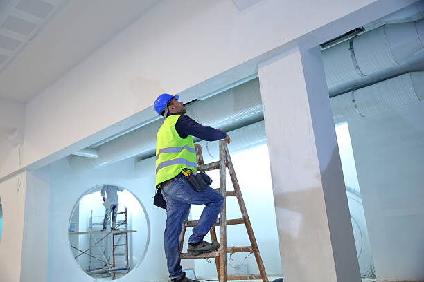Best Mold Removal for HVAC Installations  in Orange, VA